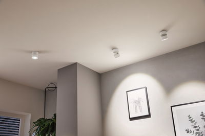 Three white metal LED ceiling spotlights illuminate modern framed pictures in a bright room with plants.