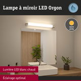 Lampe à miroir LED Orgon avec lumière blanc chaud au-dessus d'un miroir de salle de bain moderne