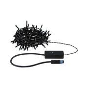 Schwarze LED-Lichterkette mit Steuerbox und blauem Anschlusskabel für Außenbeleuchtung