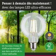 Ampoule LED lumière blanc chaud ultra efficace énergétiquement sur fond de forêt verte