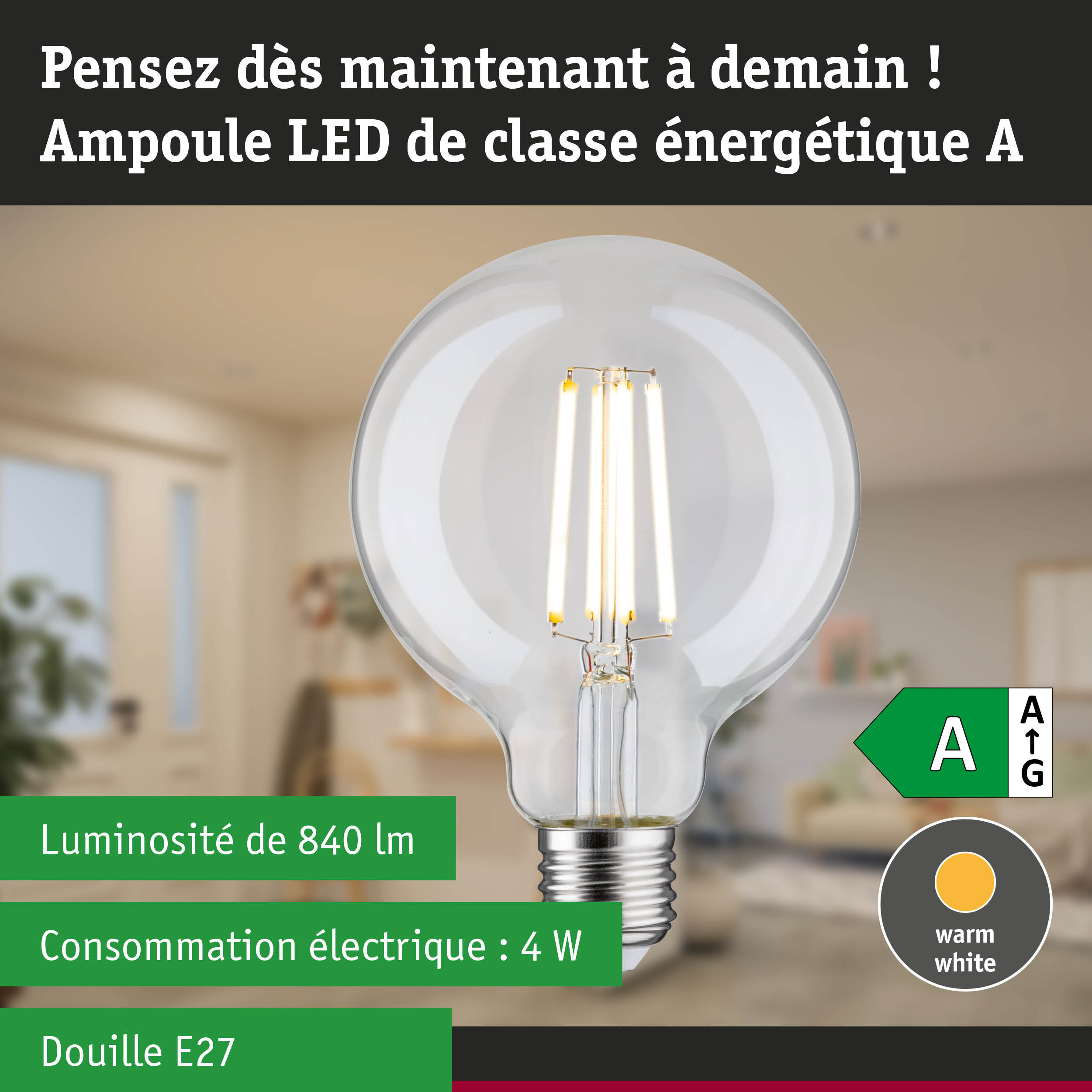 Ampoule LED lumière blanc chaud ultra efficace énergétiquement sur fond de forêt verte