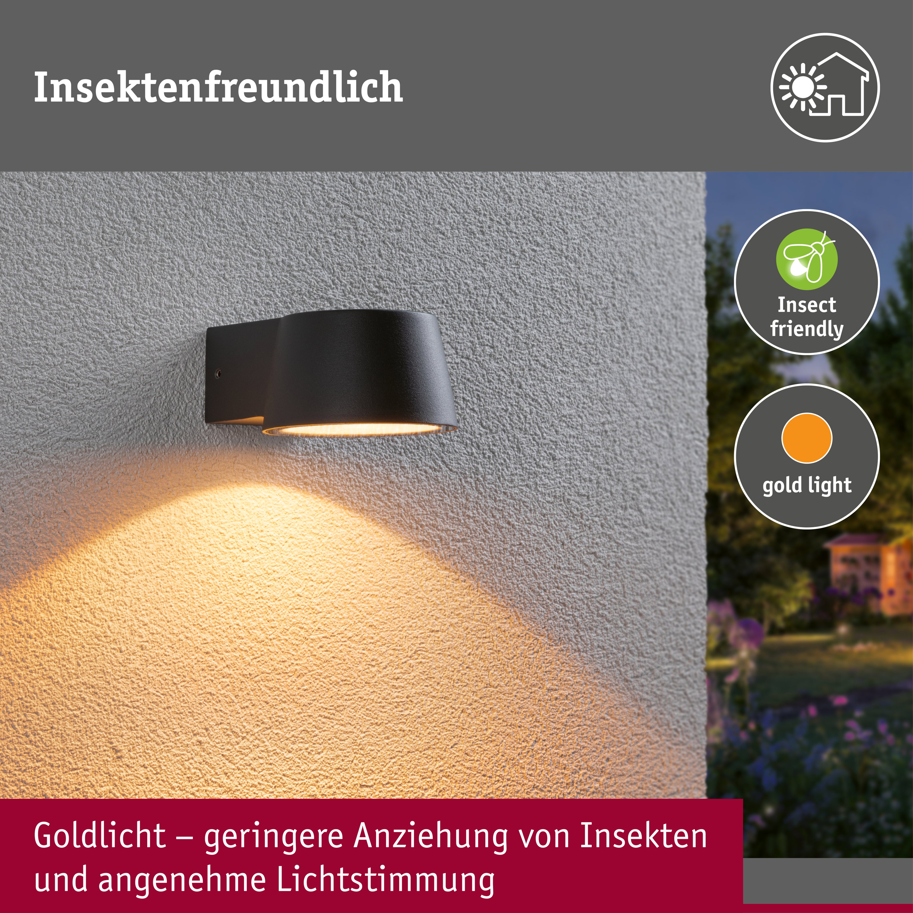 LED Außenwandleuchte Capea insektenfreundlich IP44 96x128mm 2200K 6W 550lm 230V 98° Anthrazit Aluminium