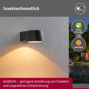LED Außenwandleuchte Capea insektenfreundlich IP44 96x128mm 2200K 6W 550lm 230V 98° Anthrazit Aluminium