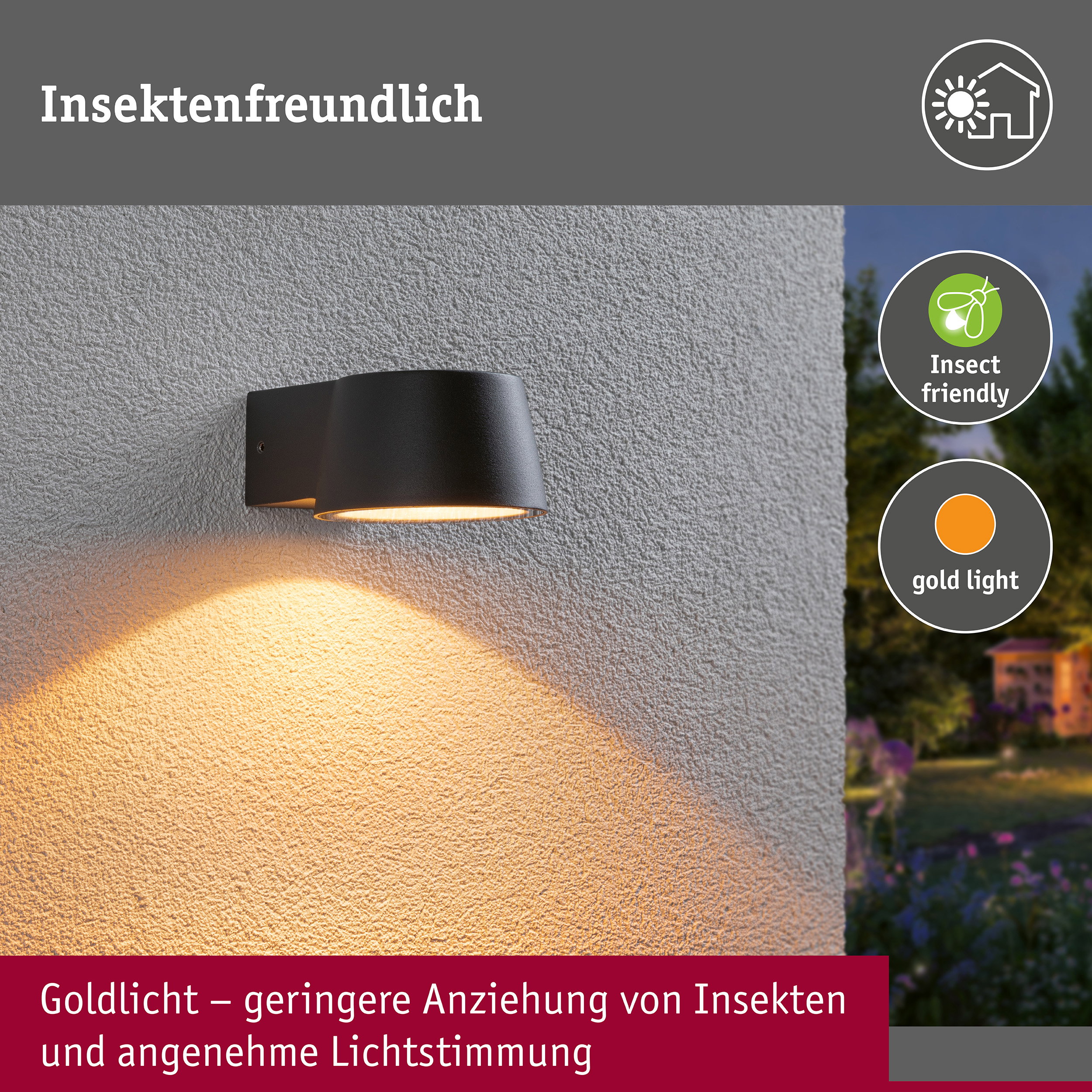 LED Außenwandleuchte Capea insektenfreundlich IP44 96x128mm 2200K 6W 550lm 230V 98° Anthrazit Aluminium