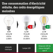 Comparaison ampoule à incandescence classique, lampe LED et lampe LED ultra-efficace avec consommation et durée