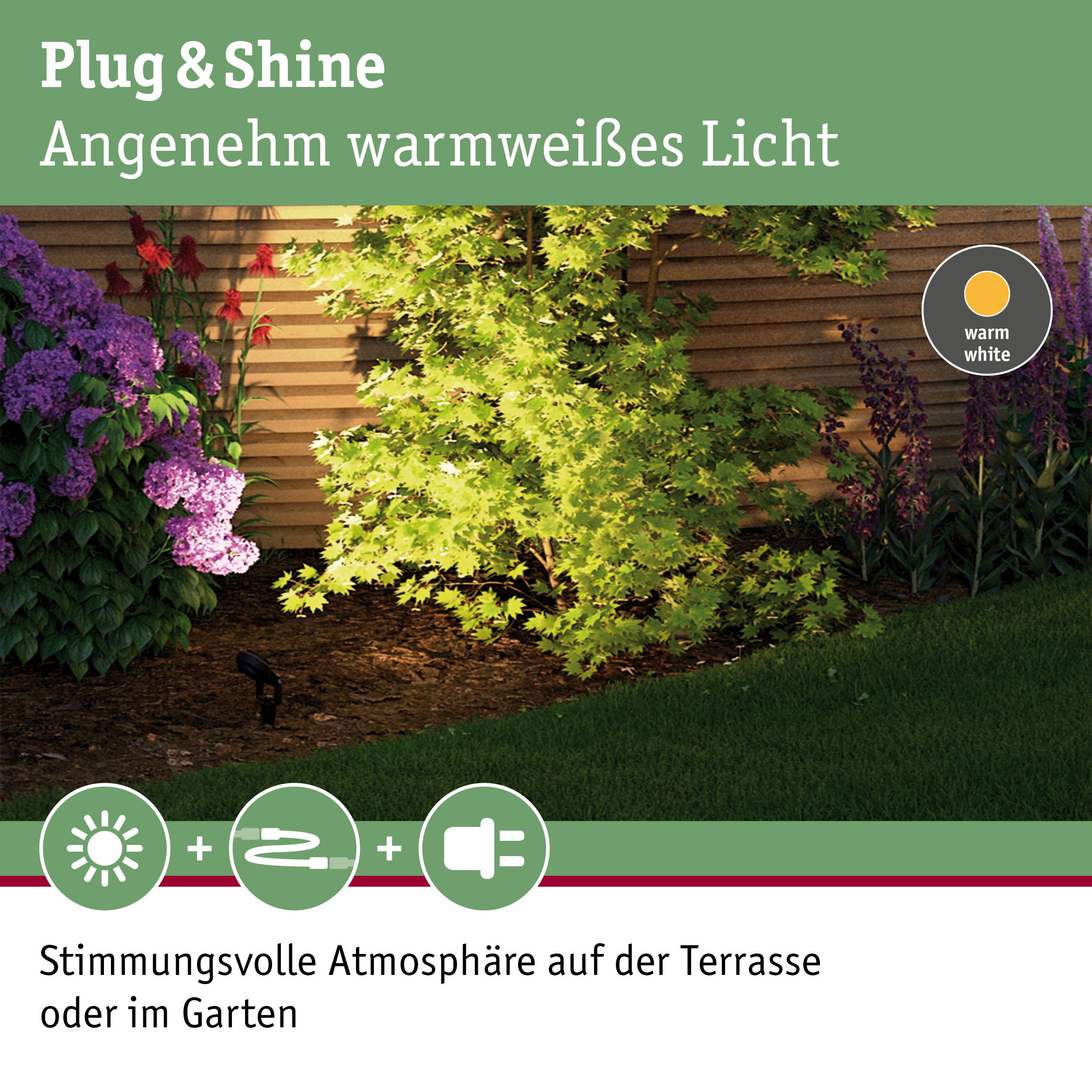 Garten mit grünem Laub und lila Blüten beleuchtet von warmweißem Plug & Shine LED-Licht