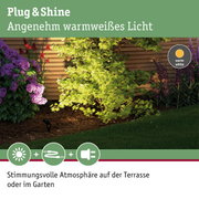 Garten mit grünem Laub und lila Blüten beleuchtet von warmweißem Plug & Shine LED-Licht