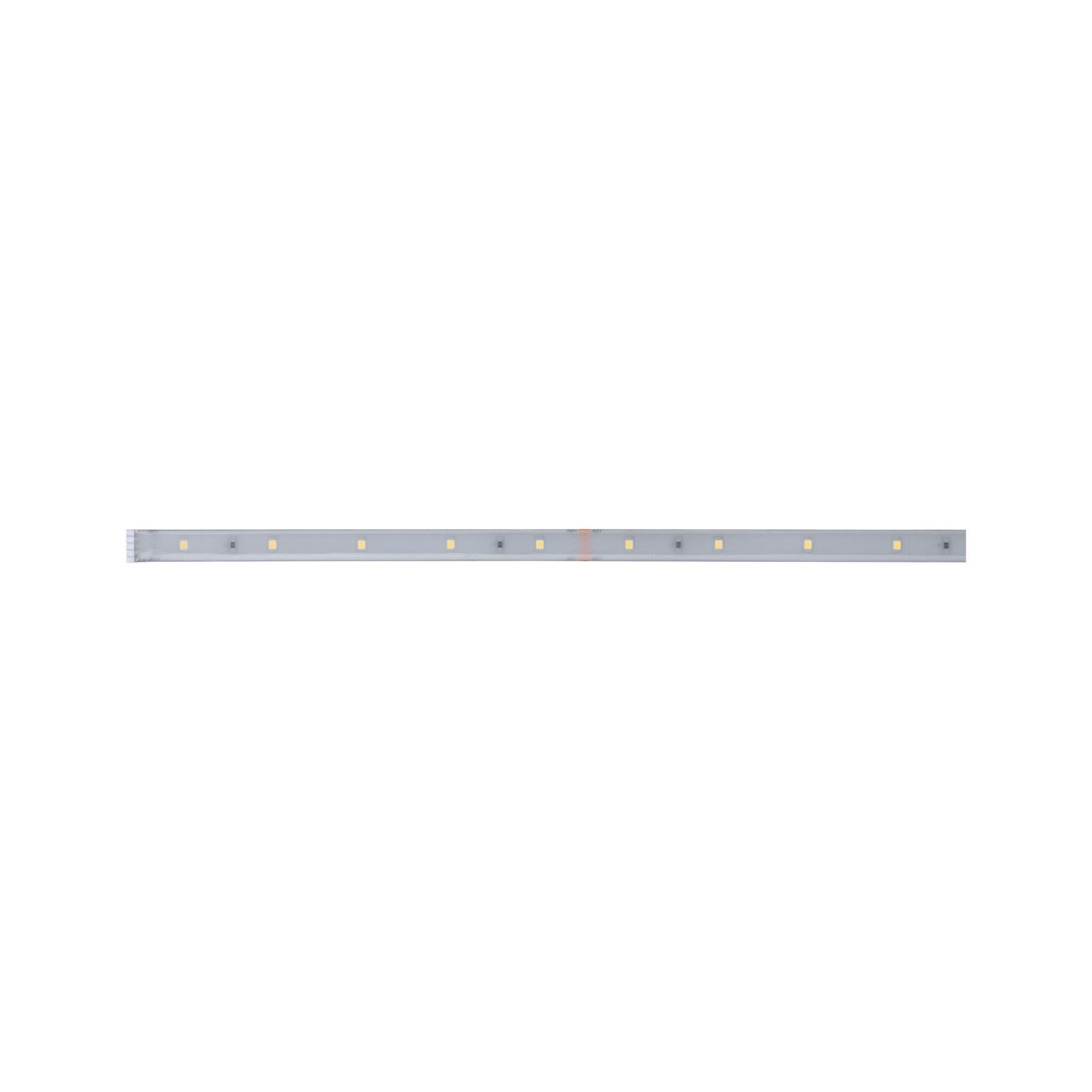 Long LED light strip with white LEDs in transparent casing for modern lighting solutions