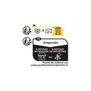 Instructions de tri pour ampoules à déposer en magasin ou en déchèterie avec symboles de recyclage.