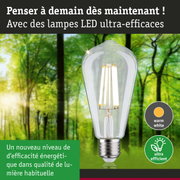 Ampoule LED claire avec lumière blanc chaud et ultra-efficace sur fond de forêt verte
