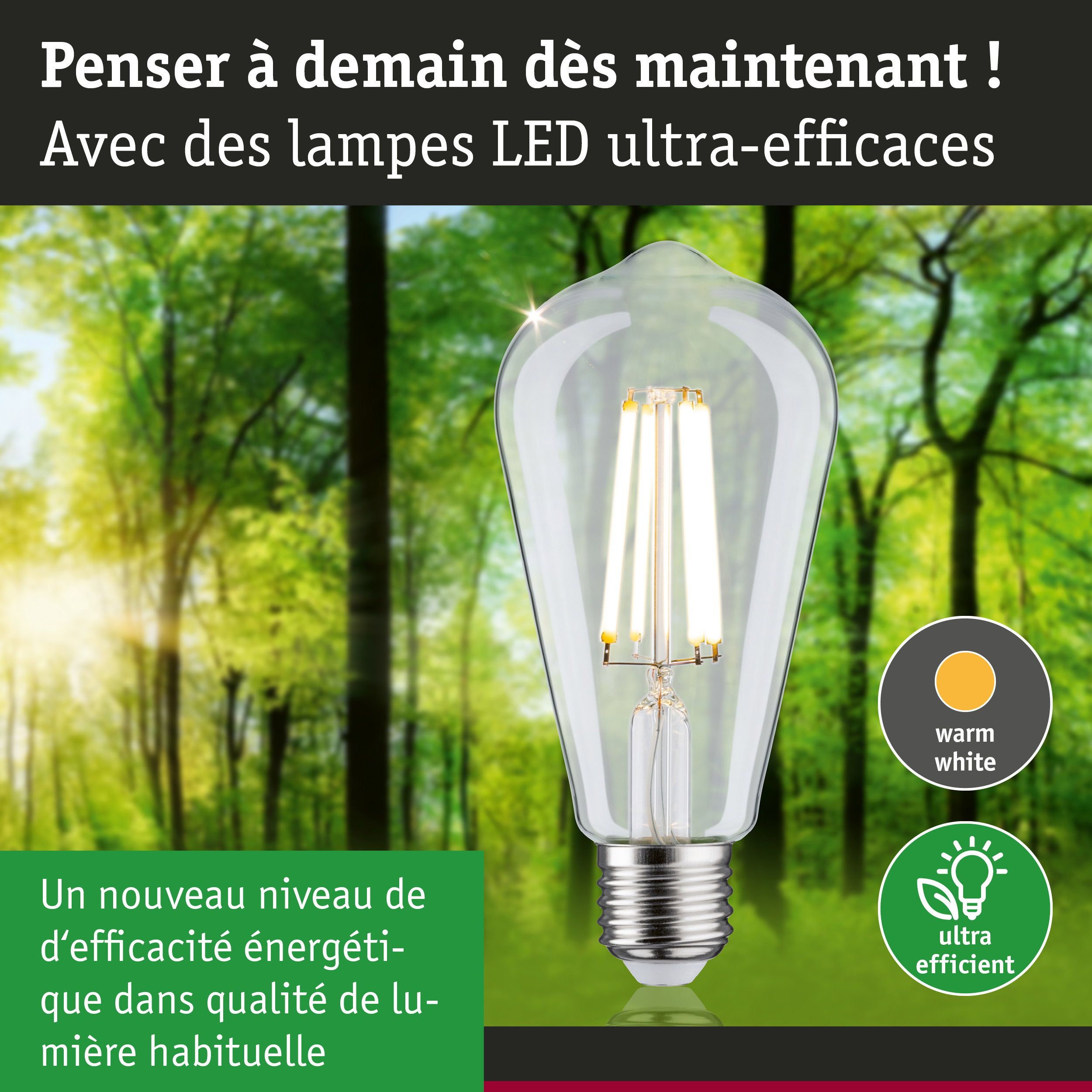 Ampoule LED claire avec lumière blanc chaud et ultra-efficace sur fond de forêt verte