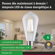 Ampoule LED claire avec lumière blanc chaud et ultra-efficace sur fond de forêt verte