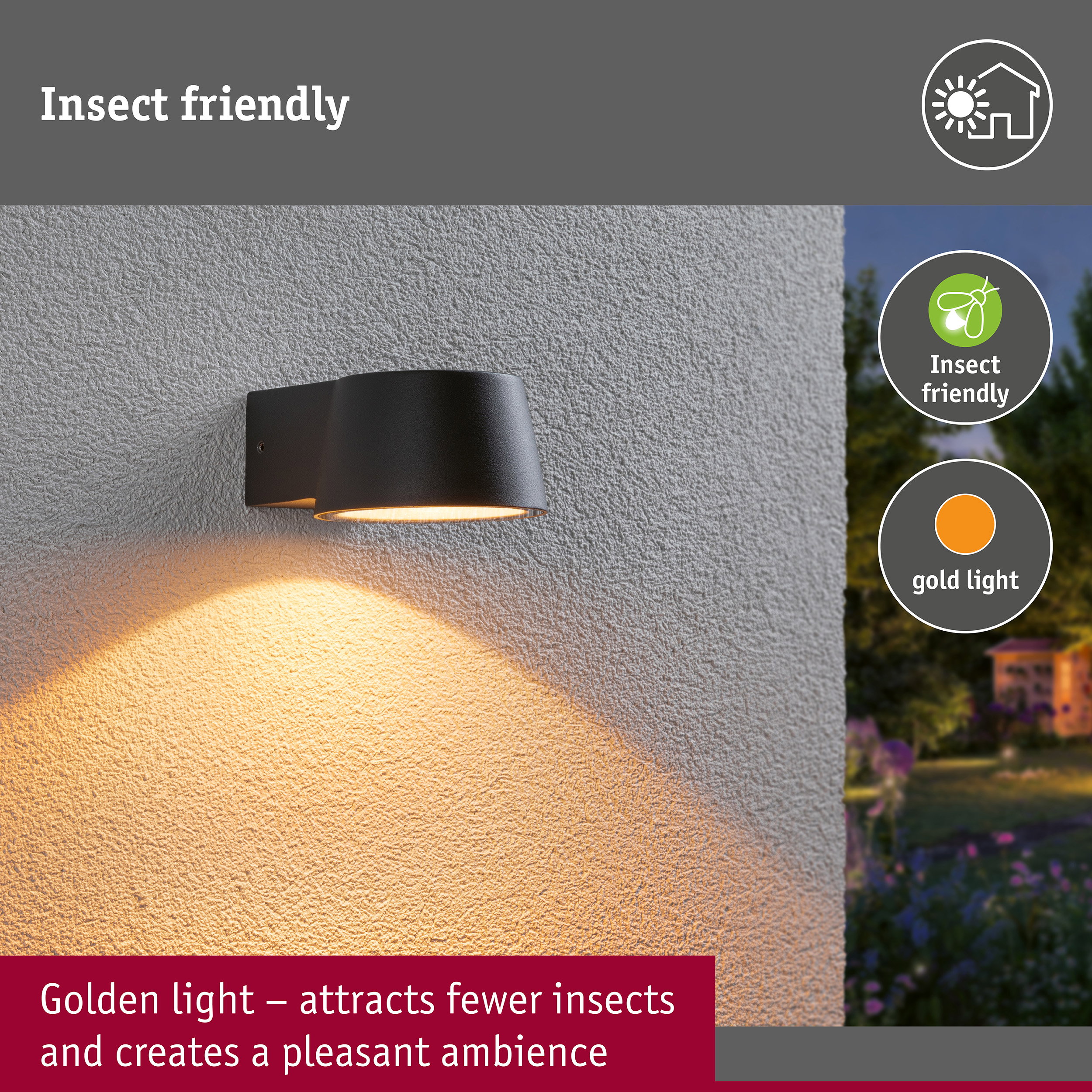 LED Exterior wall light Capea insect friendly IP44 96x128mm 2200K 6W 550lm 230V 98° Anthracite Aluminium