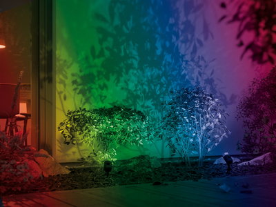 Multicolor LED garden spotlights illuminate green bushes creating colorful shadows on the wall.