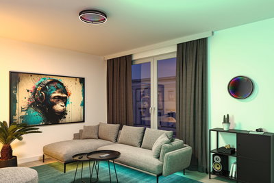 Salon moderne avec canapé gris, étagère noire et éclairage LED coloré au plafond et au mur Paulmann.