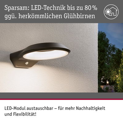 Moderne schwarze LED-Außenwandleuchte mit energiesparender Technik und austauschbarem Modul für Nachhaltigkeit