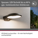Moderne schwarze LED-Außenwandleuchte mit energiesparender Technik und austauschbarem Modul für Nachhaltigkeit