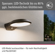 Schwarze LED-Außenwandleuchte mit energiesparender Technik und austauschbarem Modul für nachhaltige Beleuchtung