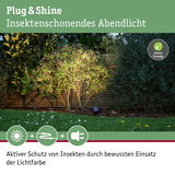 Plug & Shine Gartenstrahler mit insektenfreundlichem Abendlicht beleuchtet grüne Büsche im Garten