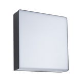 Square LED wall light with black housing and white diffuser for modern indoor lighting