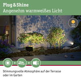 Warmweißes Plug & Shine LED-Gartenlicht beleuchtet Sträucher und schafft stimmungsvolle Terrasse.