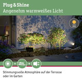 Warmweißes Plug & Shine LED-Gartenlicht beleuchtet Sträucher und schafft stimmungsvolle Terrasse.