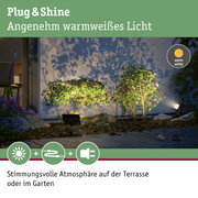 Außenstrahler mit warmweißem Licht beleuchtet grüne Pflanzen und schafft gemütliche Gartenatmosphäre