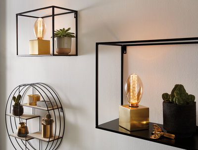 Modern LED filament bulbs with warm light on black metal shelves with plants and decor items.