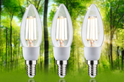 Drei LED-Kerzenlampen mit klarer Glasabdeckung und E14-Fassung vor grünem Waldhintergrund