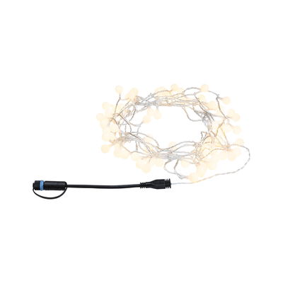 Guirlande lumineuse à LED avec ampoules blanches chaudes et câble noir pour éclairage d'ambiance