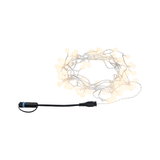 LED string lights with warm white bulbs and black connector cable for ambient lighting decoration