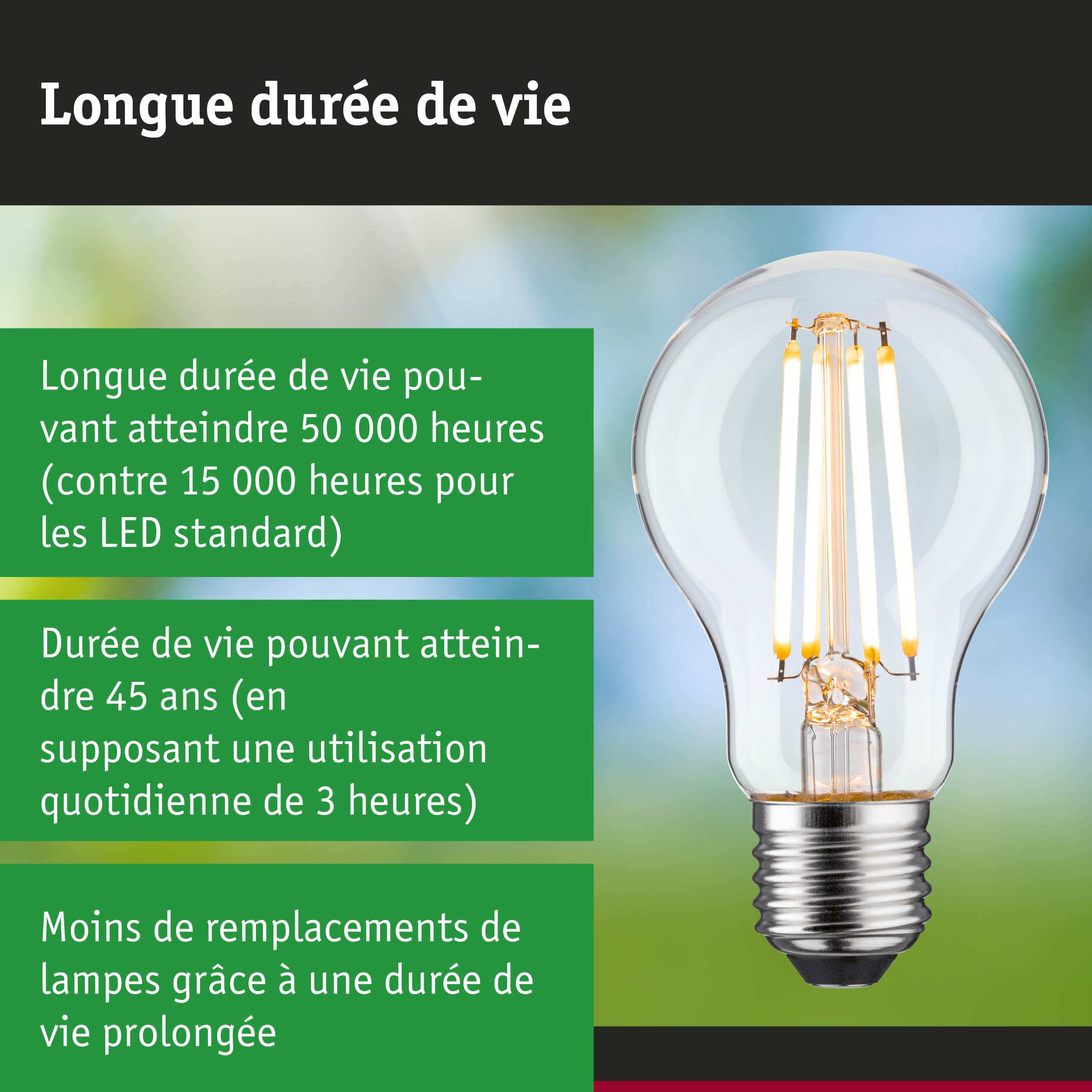 Ampoule LED à longue durée de vie tenue en main, lampe LED économique avec 50 000 heures d'utilisation