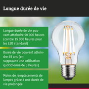 Ampoule LED à longue durée de vie tenue en main, lampe LED économique avec 50 000 heures d'utilisation